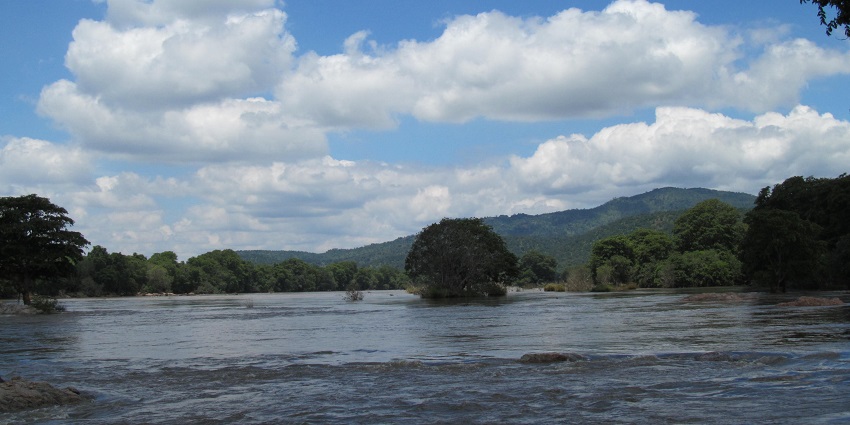 Located in the southern state of Karnataka, Cauvery Wildlife Sanctuary is easy to reach.
