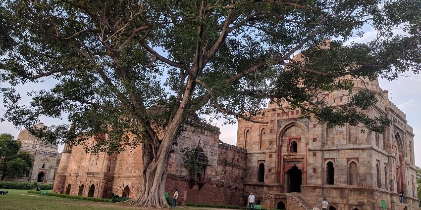 A picture of a Garden in Delhi that surrounds the tomb of an emperor of the Lodhi Dynasty