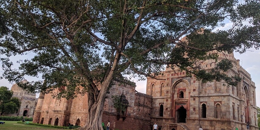 A picture of a Garden in Delhi that surrounds the tomb of an emperor of the Lodhi Dynasty