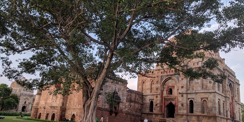 A picture of a Garden in Delhi that surrounds the tomb of an emperor of the Lodhi Dynasty