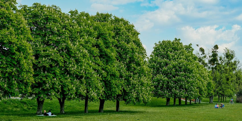 Lohagarh Farms is a popular picnic ground, perfect for a day out and relaxation.