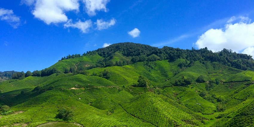 A breathtaking vista of rolling hills and lush green meadows of Lulung in Odisha.