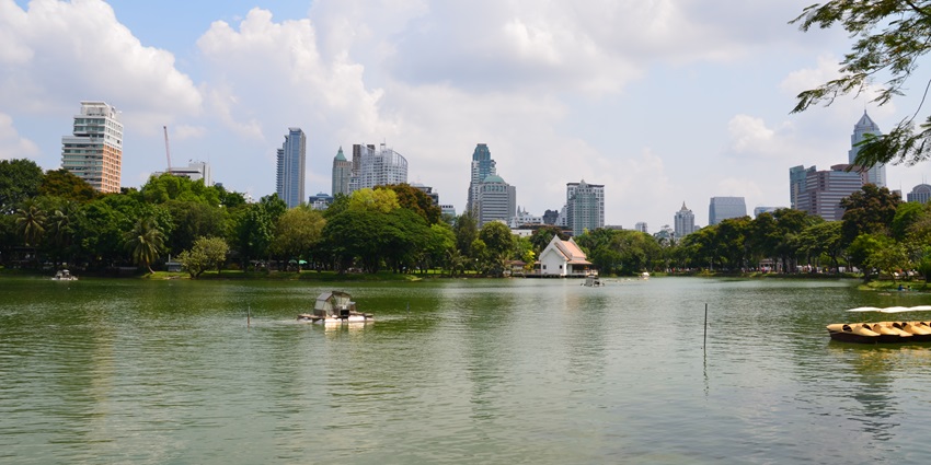 A picture of a beautiful lake at the Lumphini Park in Bangkok, surrounded by greenery