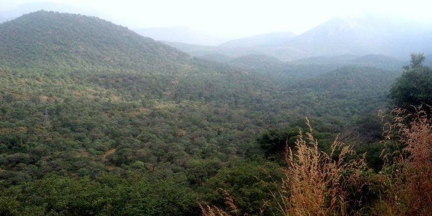 A wide angle view of M M Hills, showcasing its luscious greenery in Bangalore