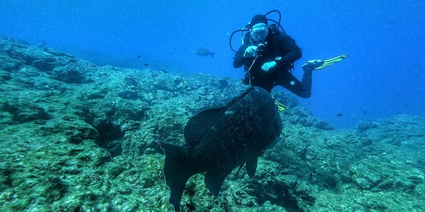 An amazing view of a person underwater enjoying snorkelling surrounded by coral reefs.