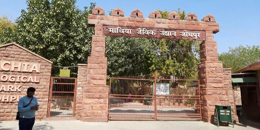 A glimpse of the wildlife and nature trails at Machia Biological Park.