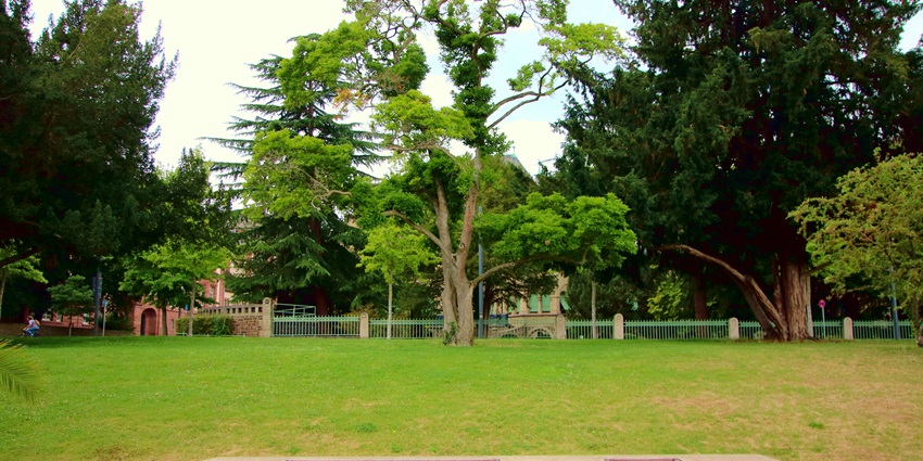 A view of Machia Biological Park with a diverse natural landscape with open enclosures.