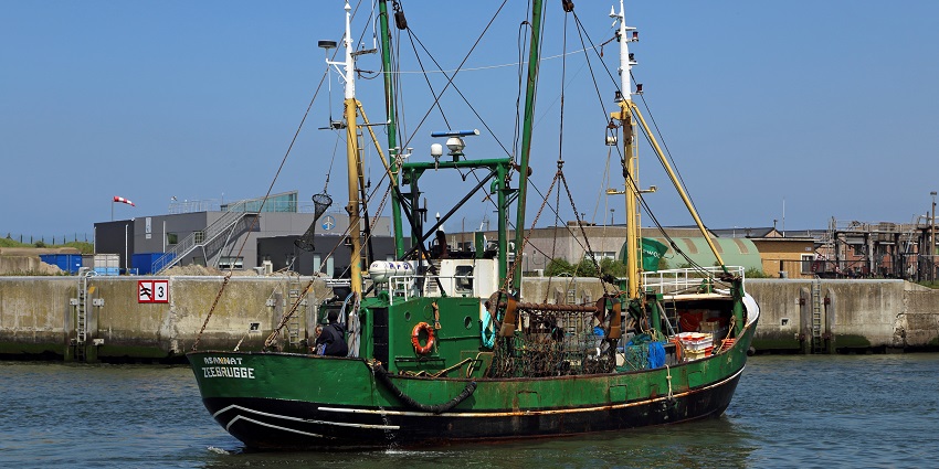 Machilipatnam Port which is one of the most ancient ports in the world in Machilipatnam