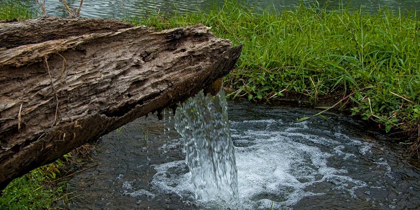 Madhushrava, a picturesque natural spring, is a must-visit attraction near Buxar Fort.