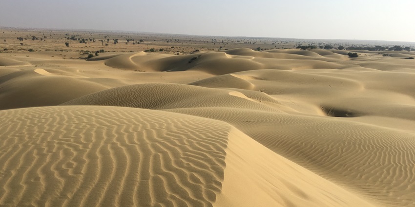 Experience Rajasthan’s desert life across sand dunes, perfect for adventure and fun.