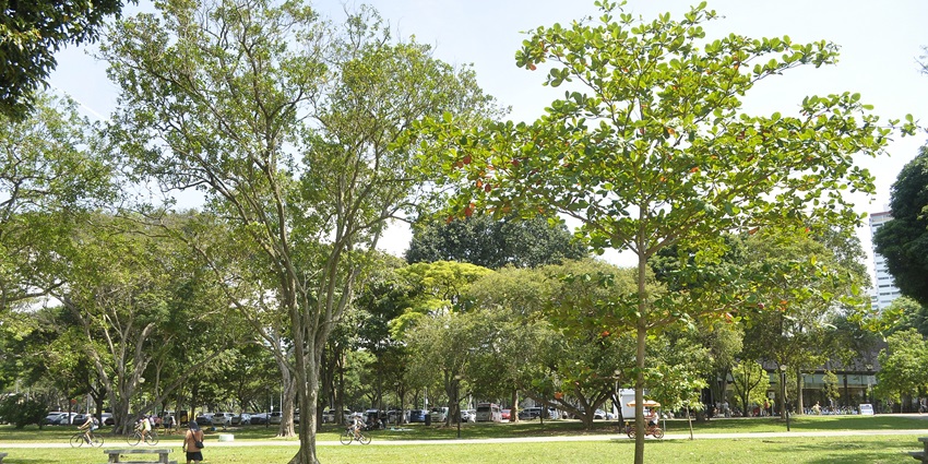 A picture of a lush green park in Barmer with seating areas and play areas for children