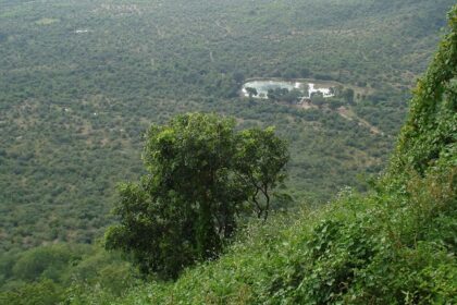 Scenic view from Sharda Temple in Maihar, overlooking the surrounding landscape and hills.