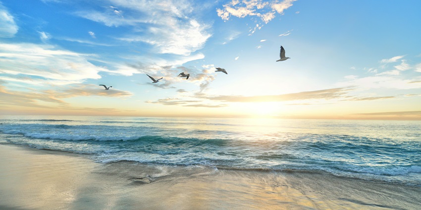 A glimpse of Majorda Beach which is one of the offbeat beaches in Goa for family.