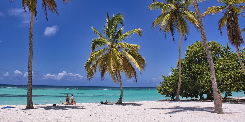 A glimpse of golden sands, glistening waters, lush green palm trees of Majorda Beach.