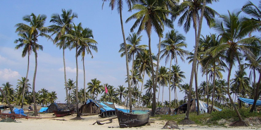 A picture of a beach with pine trees and boats parked at the shore