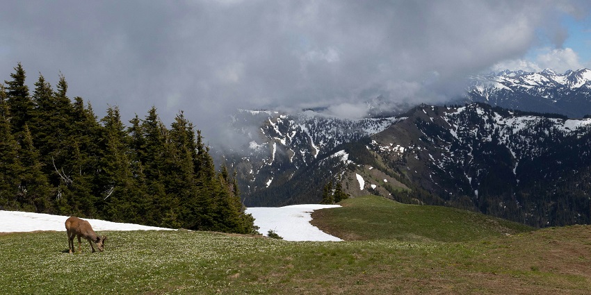 The panoramic view of Makalu Barun National Park, showcasing its rugged landscapes.