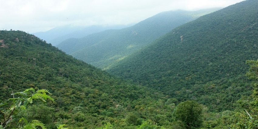 MM Hills, is one of the best hill stations in Karnataka featuring a sacred temple.