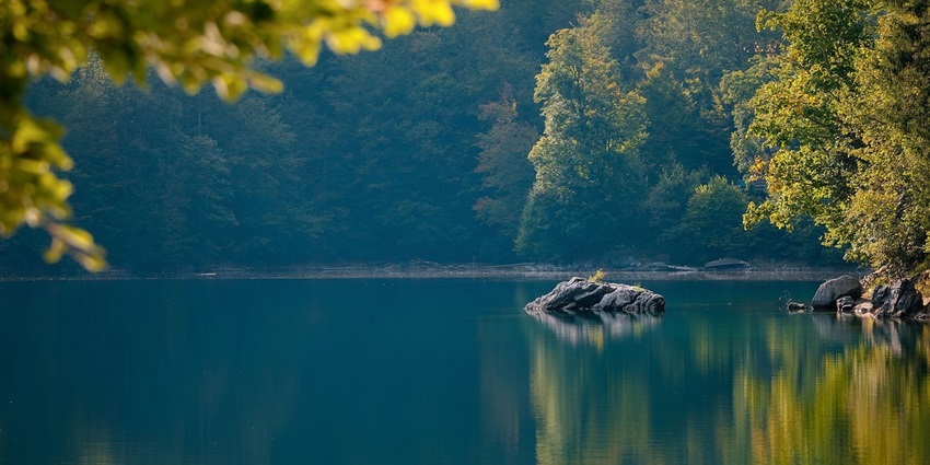 Charming small lake reminiscent of Malik Talao in Ranthambore, reflecting tranquil beauty
