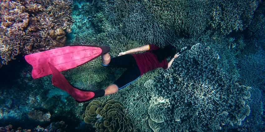Malvan is one of the most amazing places to try scuba diving in Goa for travellers.