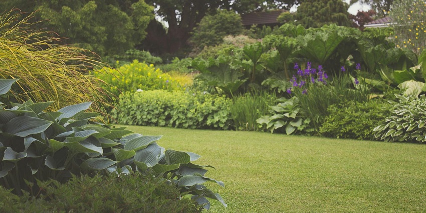 A glimpse of the lush green grounds, shrubs, blooming flowers at the Mandore Gardens.