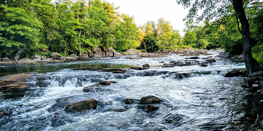 A scenic view of shimmering waters decked with rocks and greenery at Mandovi River.