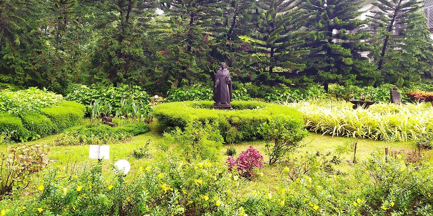 A peaceful, green oasis with tall trees and colorful flowers in Mandrem Garden, one of the best places to visit in Arambol.