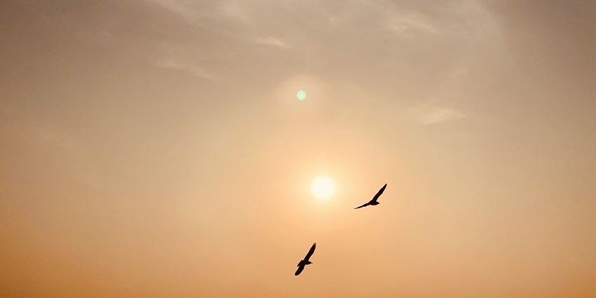 Mandvi Beach is one of the most amazing weekend places in Gujarat for every traveller.