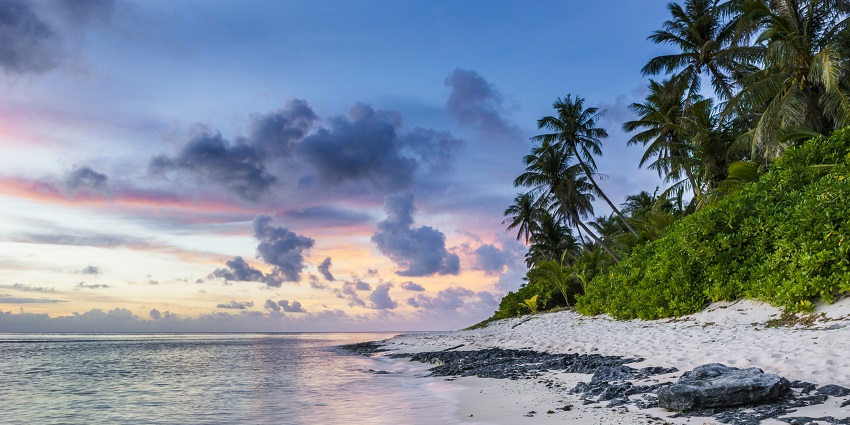 Scenic view of a beach during sunset time with golden sand clear blue water and palm trees