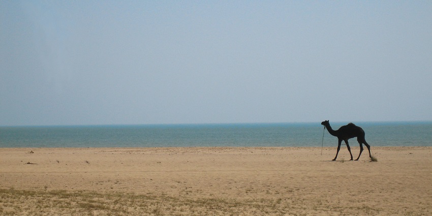 The pounding waves at the Mandvi beach and place to sit.
