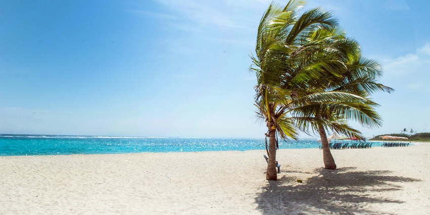 Image of pristine sandy beach at Mandvi with clear waters