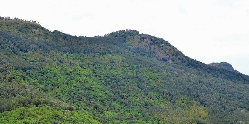 Maredumilli is among the less-explored attractions decked with some natural wonders.