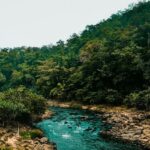 A breathtaking view of Maredumilli covered in lush greenery with a stream of water.