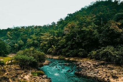 A breathtaking view of Maredumilli covered in lush greenery with a stream of water.