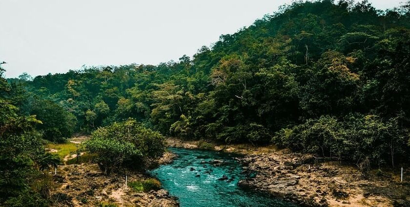 A breathtaking view of Maredumilli covered in lush greenery with a stream of water.