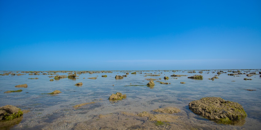 A view of the serene Marine National Park, one of the top national parks in Gujarat.