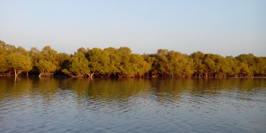 Marine National Reserve near Jamnagar.