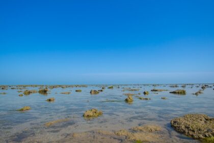 The sea bed of Marine National Park in India.