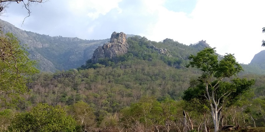The Western Ghats in Masinagudi, one of the best places to visit near Bandipur Night Safari.
