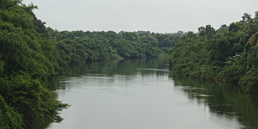Meenachil River is a gentle river where you can rejuvenate your soul while kayaking