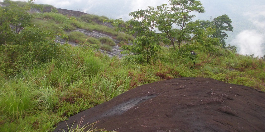 Meenuliyan Para is a prominent peak of the Idukki district near Thommankuthu Waterfalls.