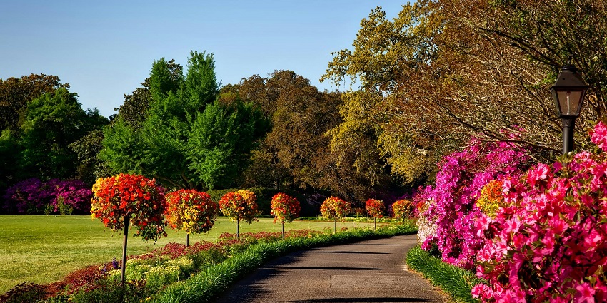 A view of Meghdoot Garden, a lush green paradise and the best place to visit in Indore for couples