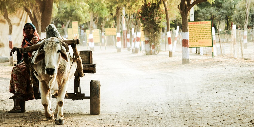 Mehandipur Balaji Temple is one of the famous places to visit near Jaipur within 200 km.