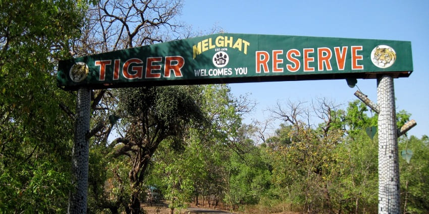 Places to visit in Chikhaldara feature Melghat Tiger Reserve showcasing forests and wildlife.