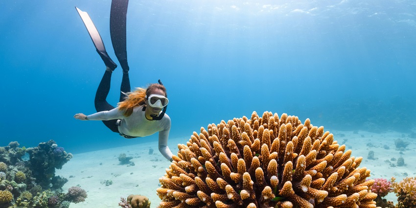 Menjangan Island is a perfect location for divers with different-level expertise.