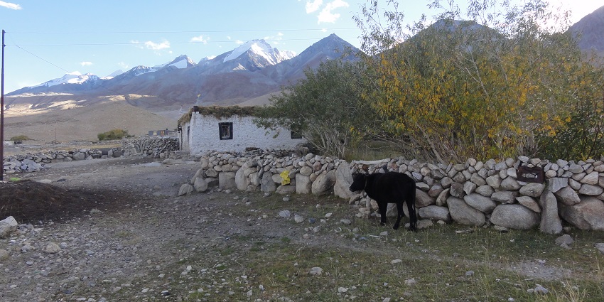 Traditional houses in Merak, similar to settlements near Sakteng Wildlife Sanctuary.