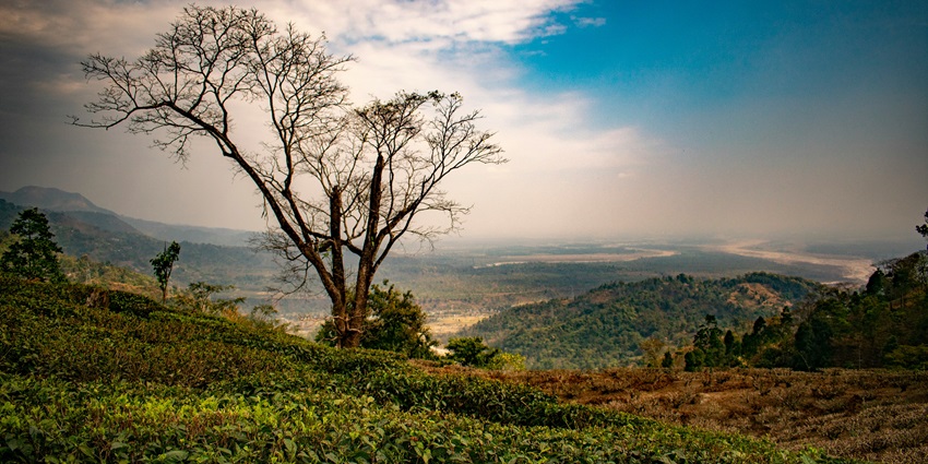 A breathtaking lush green landscape of Mirik, a breathtaking place to visit.