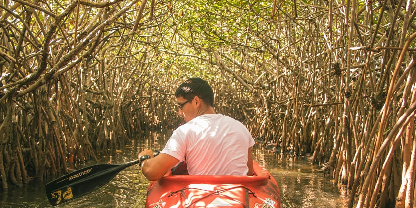Moira is a picturesque place surrounded by dense mangrove forests offering thrill.