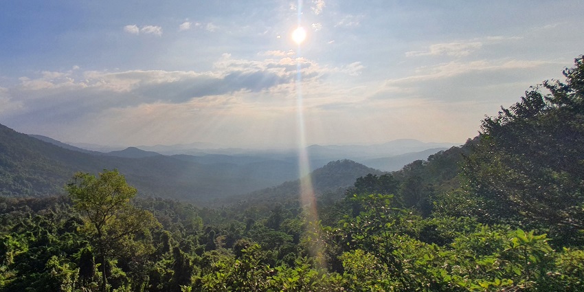 A picture of a lush green forest region, one of the best places to visit near Goa within 50 km