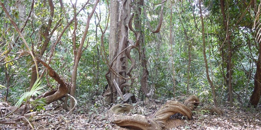 This destination is ideal for all wildlife enthusiast seeking to explore the biodiversity