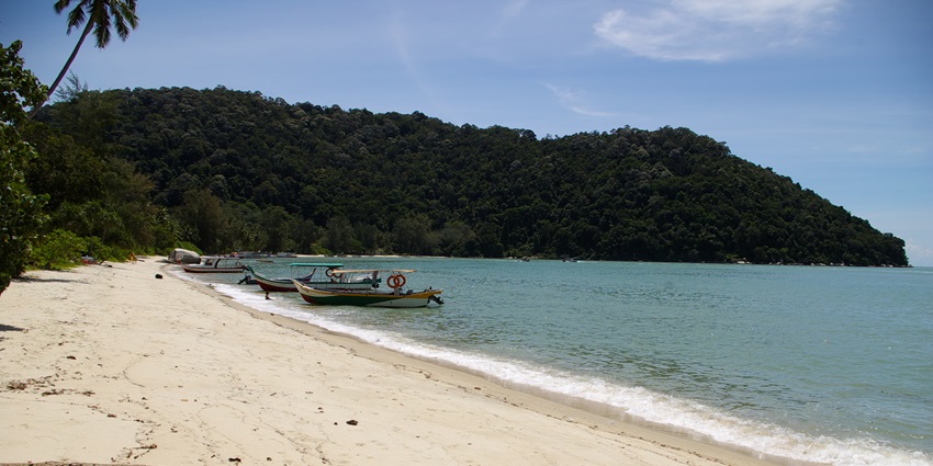Image of a seashore around the lush green rock hill near body of water under clear blue sky